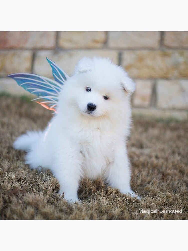 Tote Bag Bebe Floof Par Magical Samoyed Redbubble