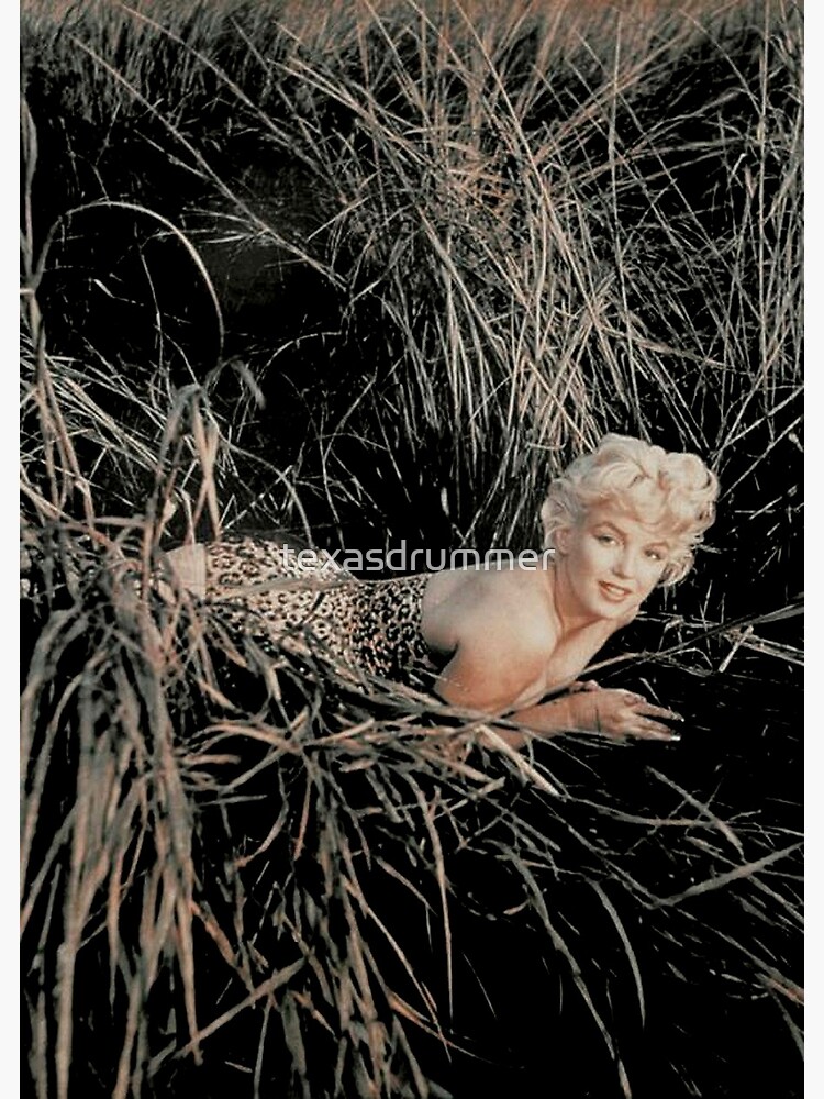 Marilyn Monroe print by texasdrummer