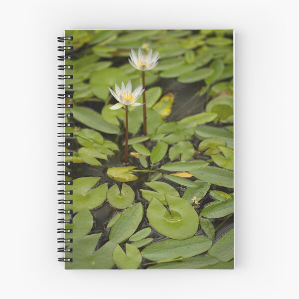 Item preview, Water Lillies designed and sold by Dennis  Veldman.