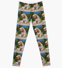 Griechenland. Altes Olympia. Straßenhund. Leggings