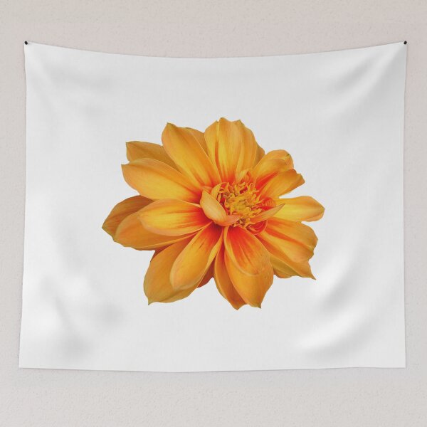 Item preview, 0 designed and sold by DeezShirtz24.