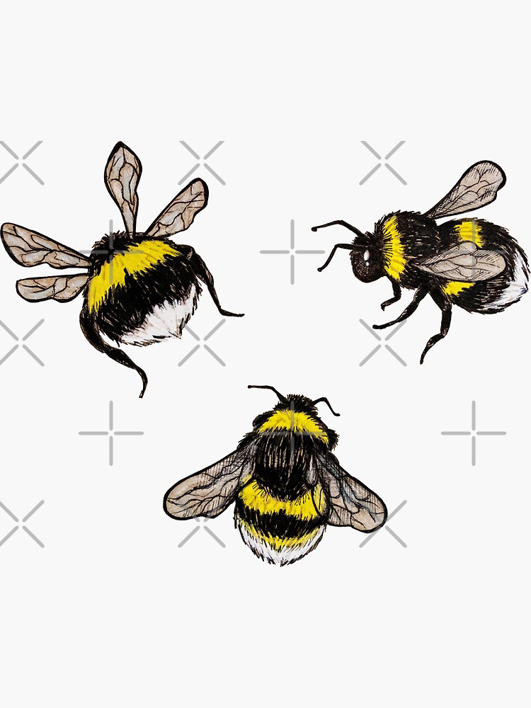 Bumblebees by JessieTitley