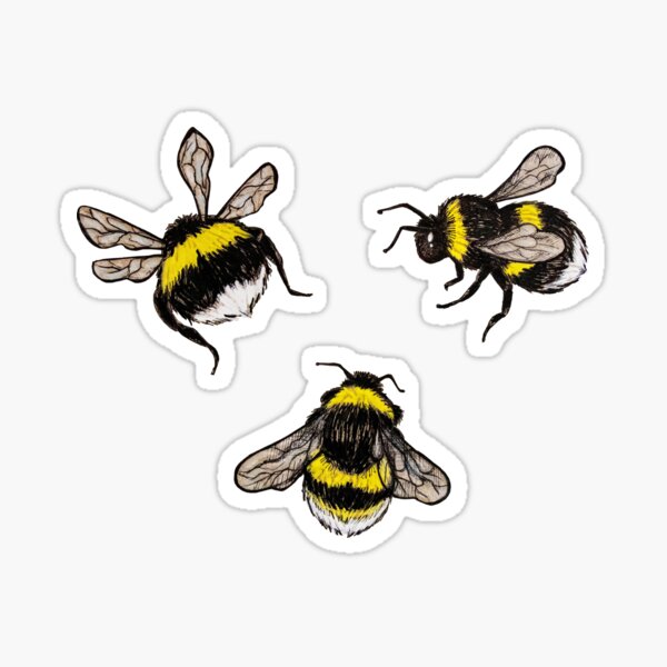 Bee Theme Stickers Roll For Bumble Bee Honey Stickers - Temu