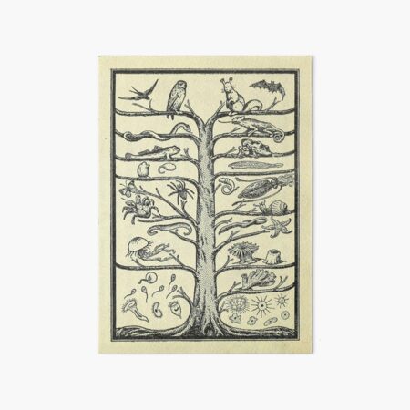 Evolution Tree Art Board Print