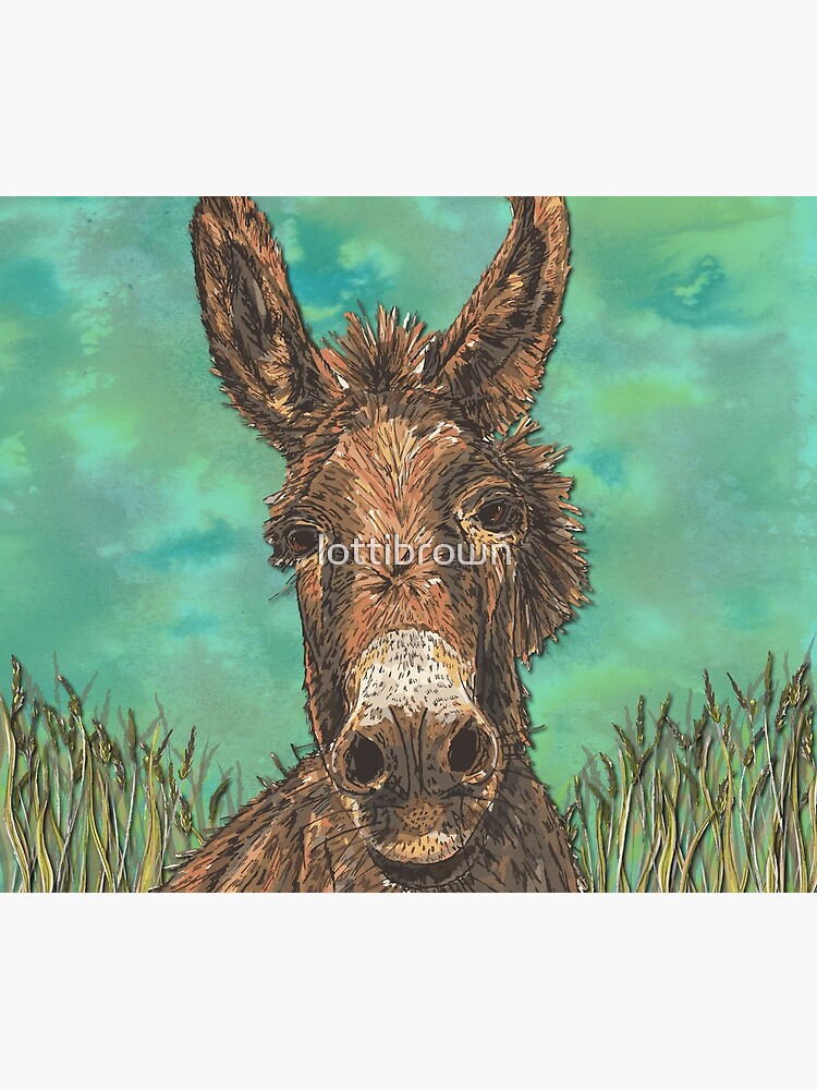 Little Brown Donkey by lottibrown