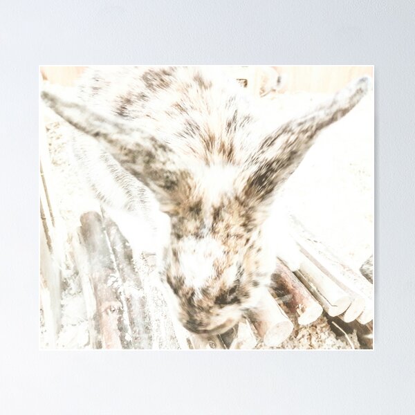 Item preview, Birds & Animals BA151 designed and sold by Hyperion Photoart.