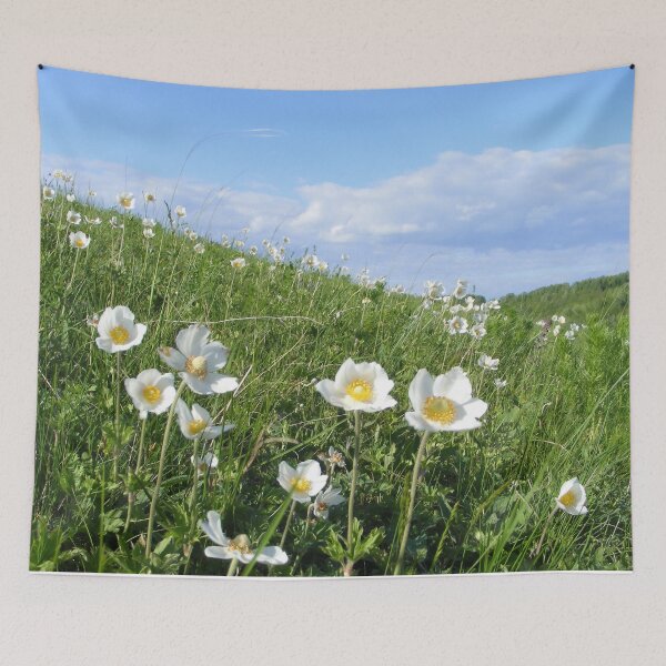 Item preview, anemone designed and sold by TatianaAn.