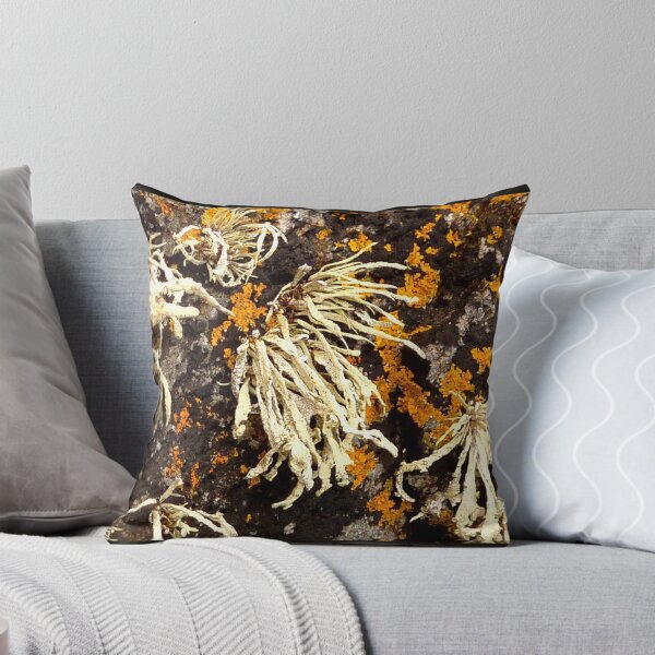 Item preview, Seaweed And Rust...............................Most Products designed and sold by Fara.
