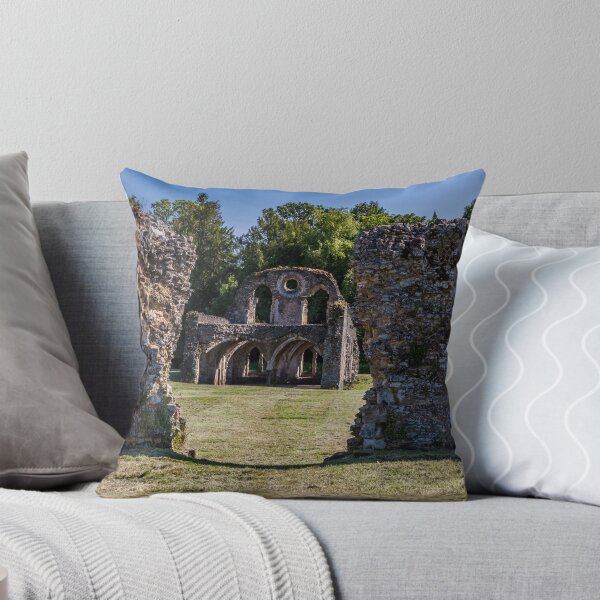 Item preview, At Waverley Abbey Ruins  designed and sold by colinstock.
