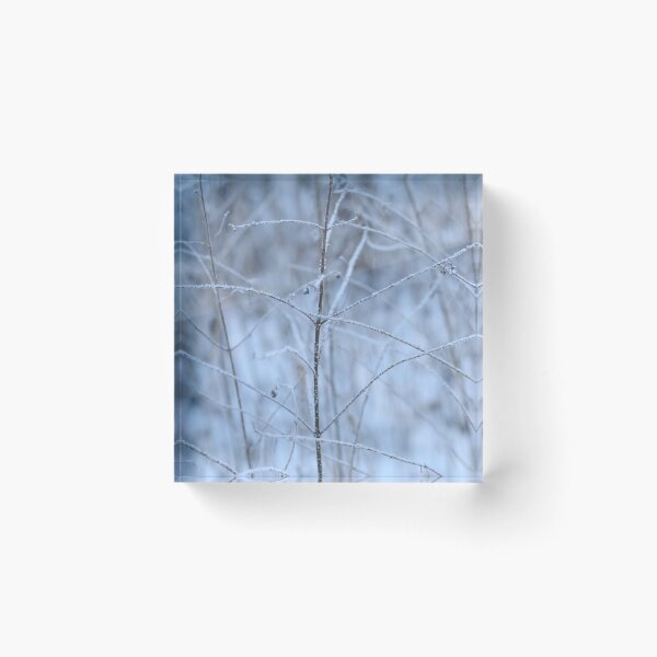 Item preview, Winter Fragility designed and sold by denis-romanov.