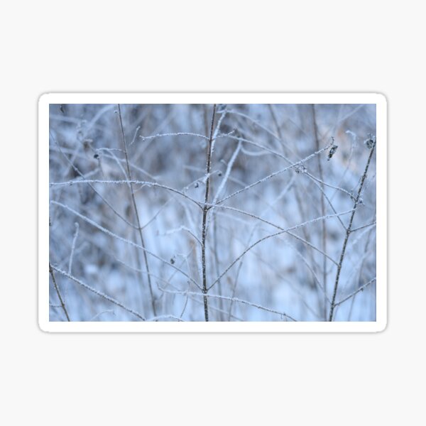 Item preview, Winter Fragility designed and sold by denis-romanov.