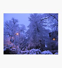 NARNIA WINTER Photographic Print