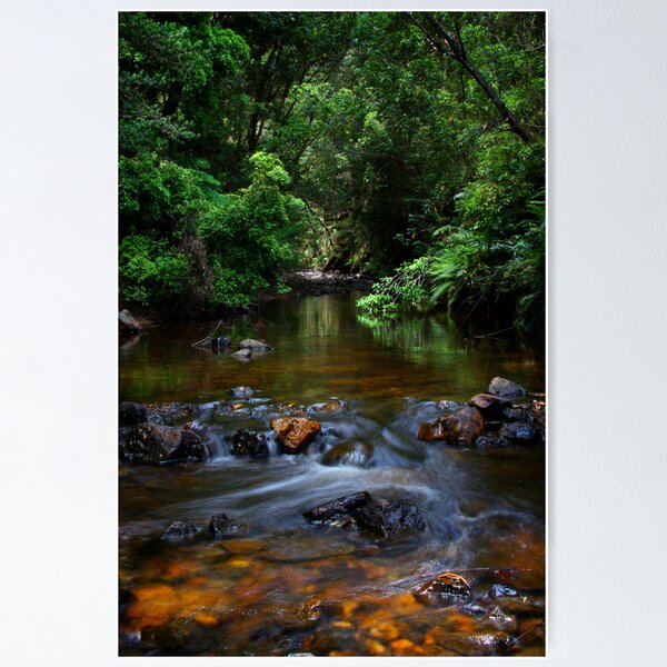 Item preview, Little Creek, Phantom Valley designed and sold by Bellabomb33.