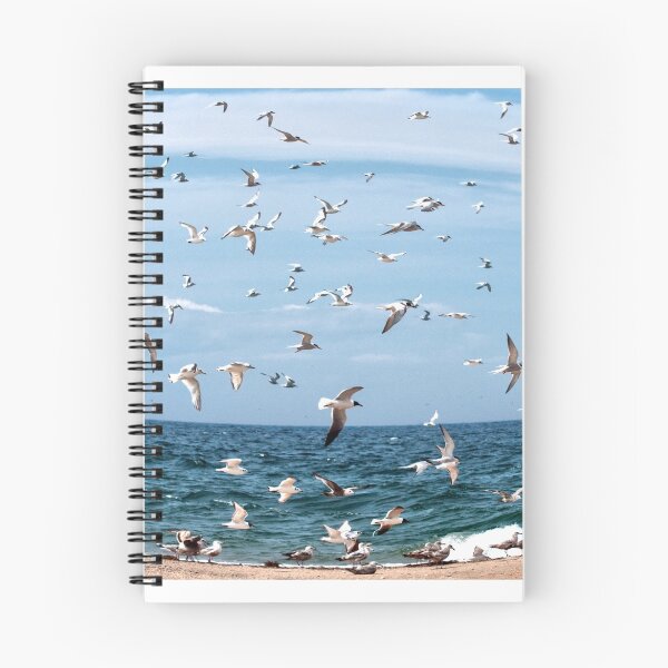 Item preview, Seagulls designed and sold by Caleb Ward.