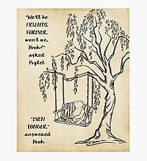 Winnie the Pooh - Friends Forever Photographic Print
