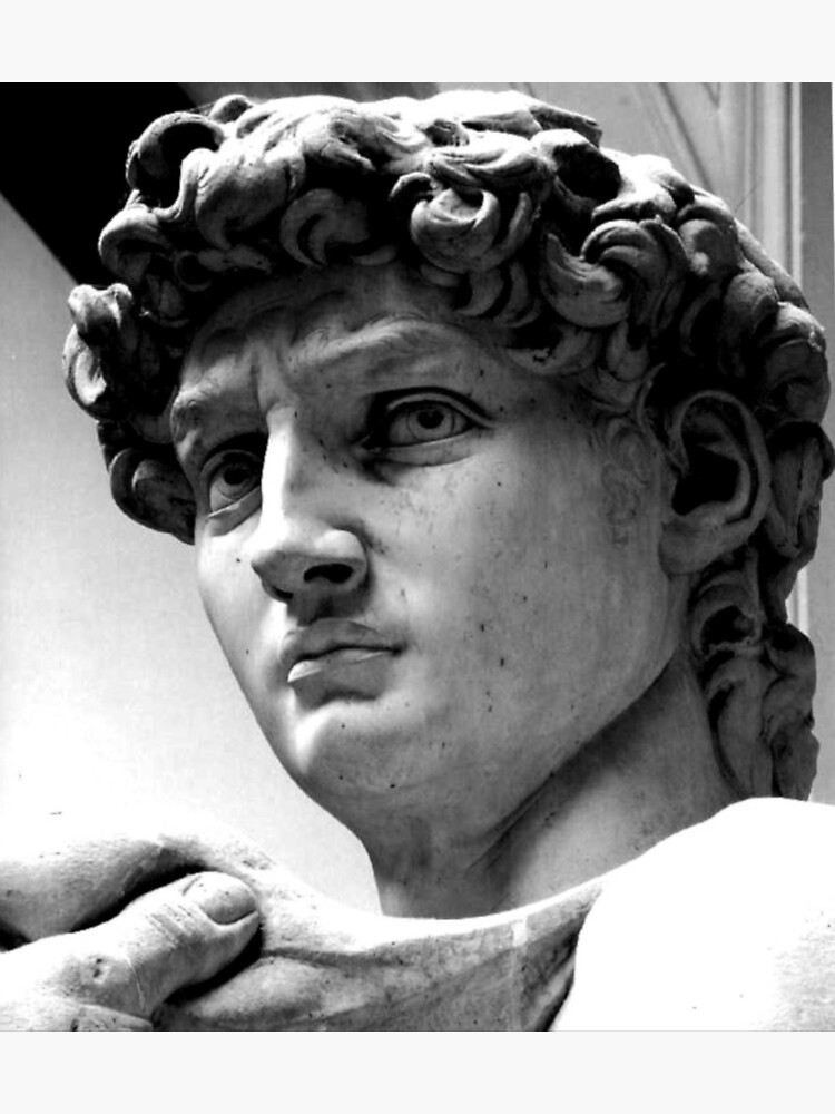 "Michelangelos David" Photographic Print for Sale by MotherandSon