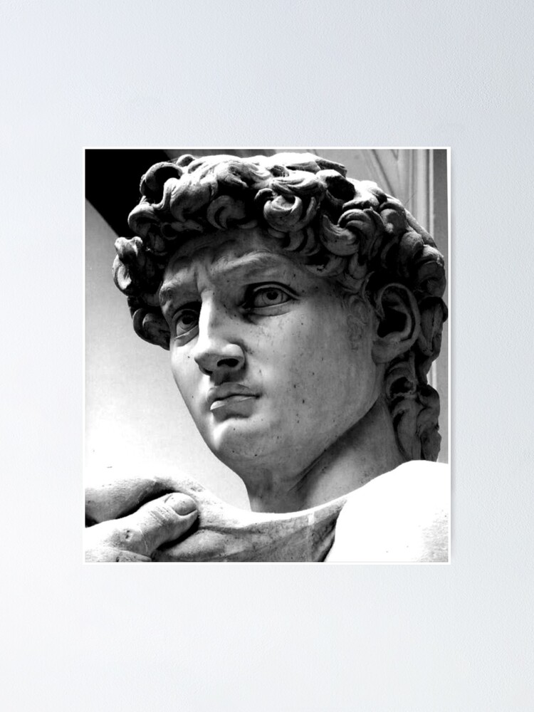 "Michelangelos David" Poster by MotherandSon Redbubble