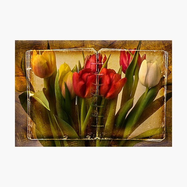 Item preview, Tulipa designed and sold by Dania Reichmuth.