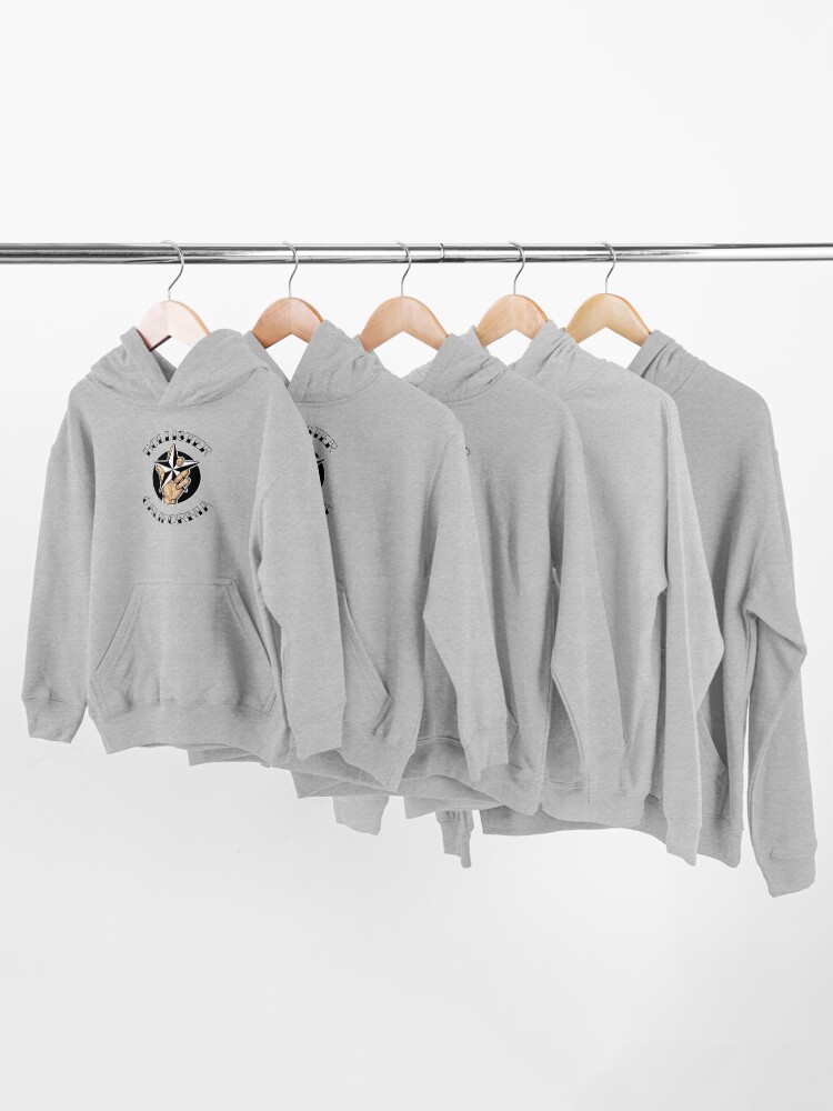 Sudadera hollister niño outlet