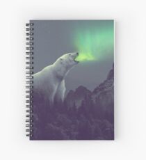 aurora Spiral Notebook