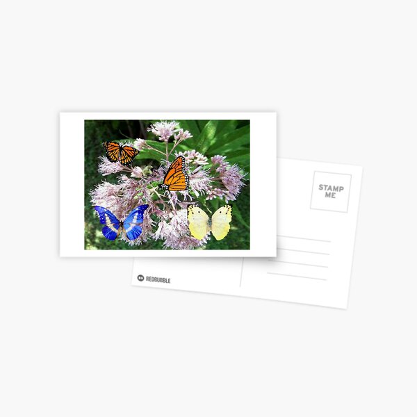 Item preview, Butterfly Banquet Blank Greeting Card designed and sold by dorcas13.