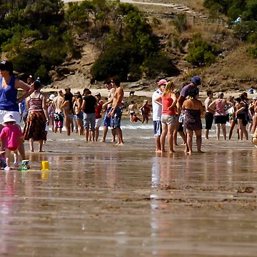 Artwork thumbnail, Crowded Beach by Rhonda  Taylor