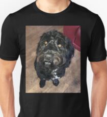 Stan the Man is a Good Boy Unisex T-Shirt