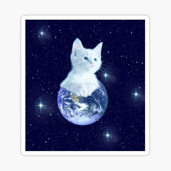 Space Baby Cat auf der Erde Sticker