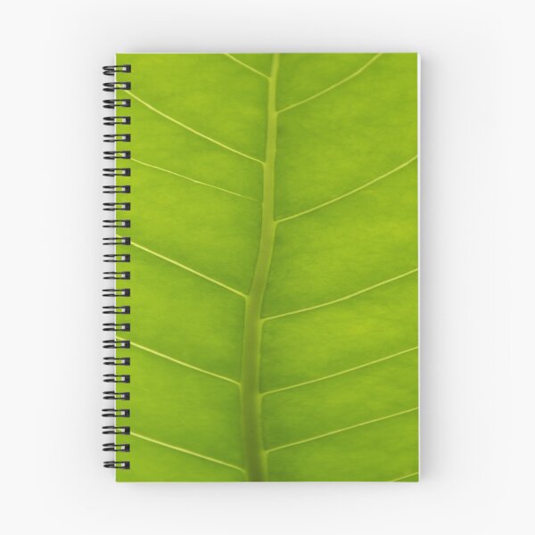 Item preview, Fern Leaf Detail designed and sold by Dennis Warne.