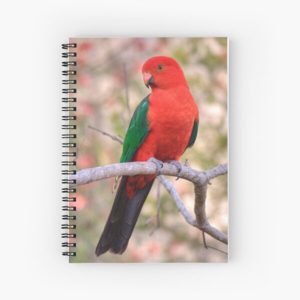 King Parrot Spiral Notebook