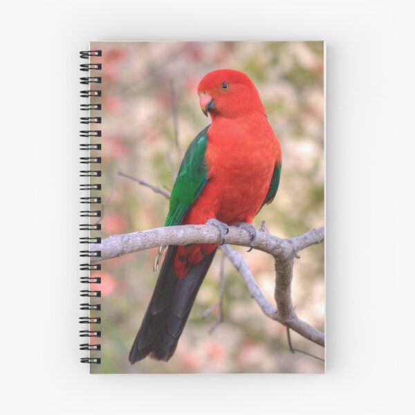 Item preview, King Parrot designed and sold by Lisbeth A. Westra.