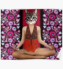 Evolution - Kitty Poster