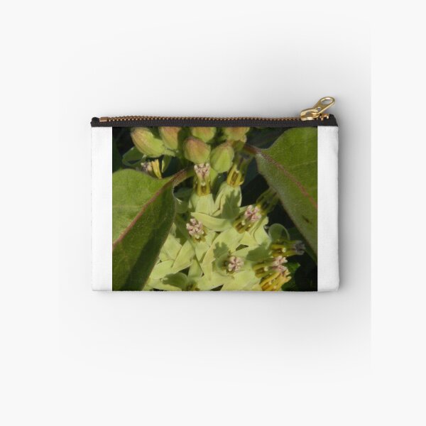 Item preview, Green Milkweed in Bloom designed and sold by Navigator.