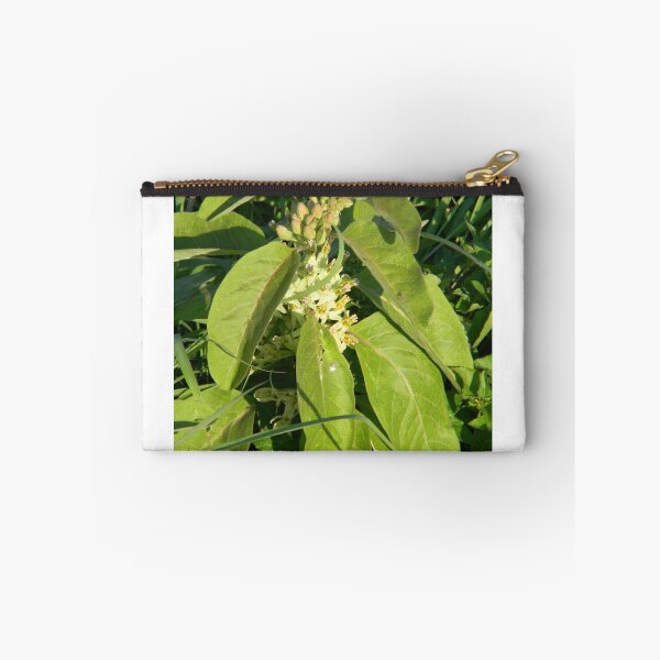 Item preview, Green Milkweed Plant designed and sold by Navigator.