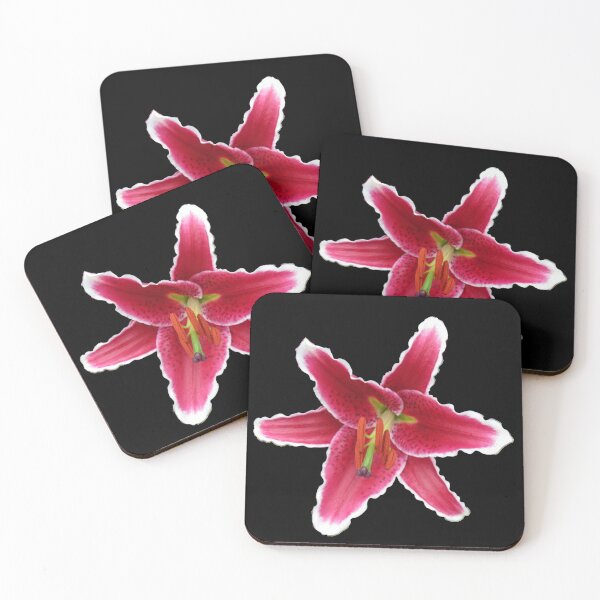 Artikelvorschau, Stargazer Lily on Black Background entworfen und verkauft von SunriseRose.