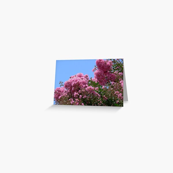 Vista previa del artículo con la obra «Crepe Myrtle», diseñado y vendido por PhotosByG.