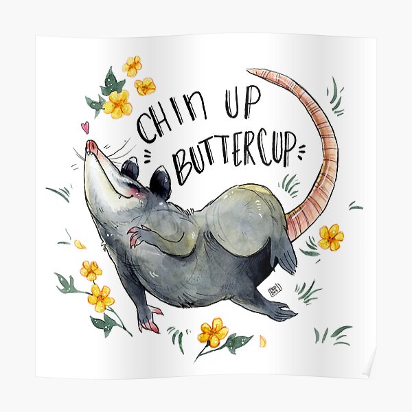 Chin Up, Buttercup Poster