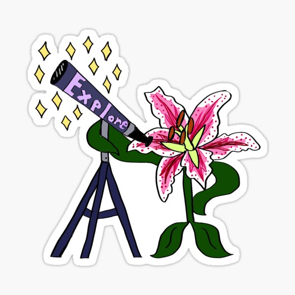 Stargazer Lilly Sticker