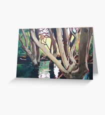 Mangroves Greeting Card