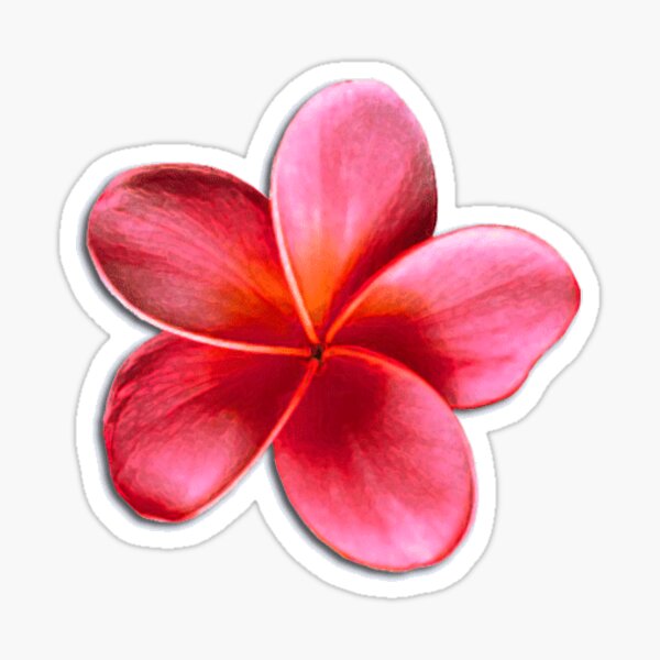 Item preview, Pink Plumeria All Over designed and sold by Villaflor.