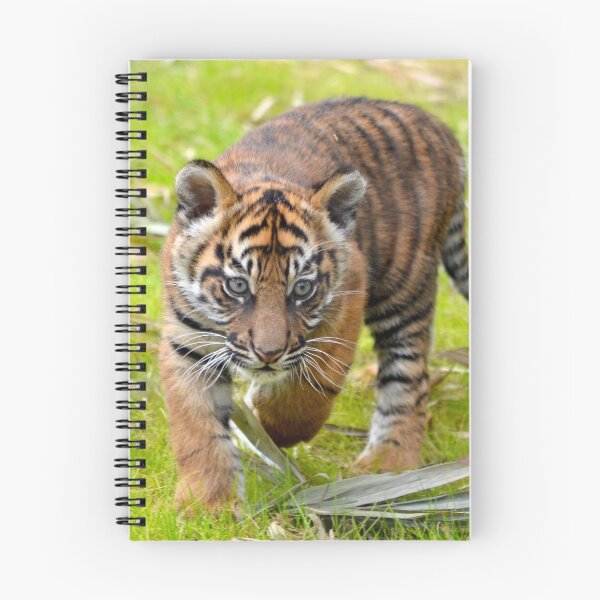 Item preview, Tiger Cub on the Move designed and sold by richardbryce.