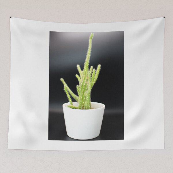 Aperçu de l'œuvre Cactus vert dans un pot blanc créée et vendue par jsebouvi.