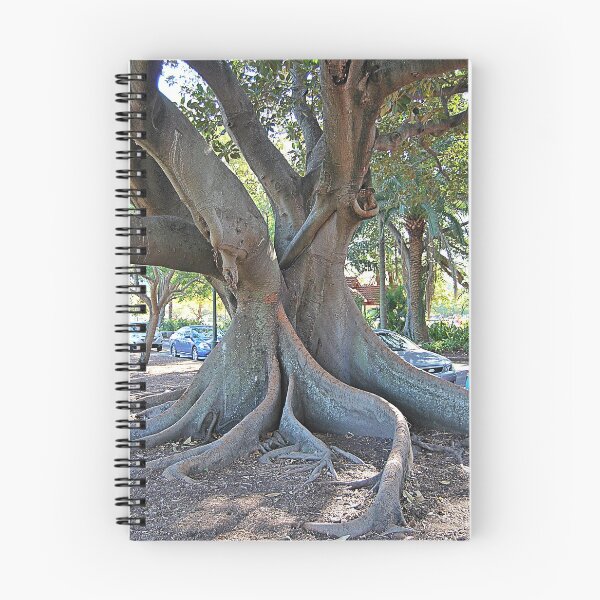 Item preview, Well rooted designed and sold by Kerry LeBoutillier.