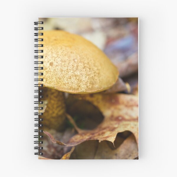 Item preview, first bolete designed and sold by Manon Boily.