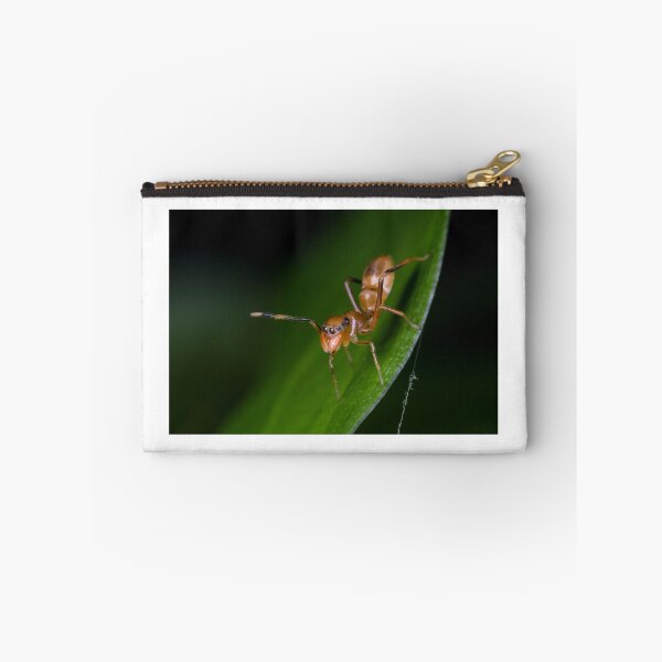 Item preview, Ant Mimic Spider designed and sold by Normf.