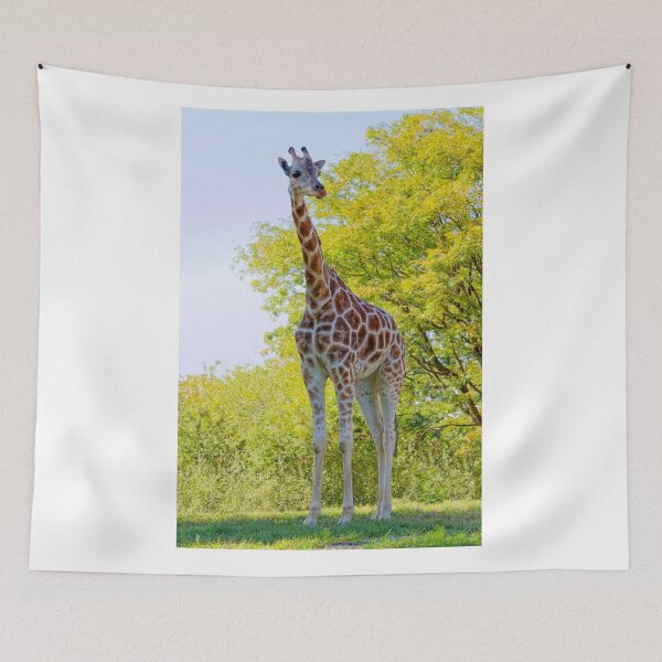 Aperçu de l'œuvre Girafe dans son habitat naturel créée et vendue par Delmas Lehman.