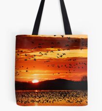 Snow Geese Flying at Sunrise Tote Bag