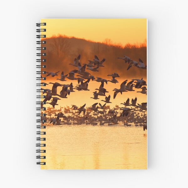 Item preview, Snow Geese Flying at Sunrise designed and sold by Delmas Lehman.