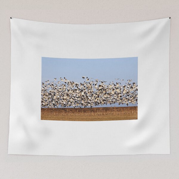 Item preview, Snow Geese Take Flight designed and sold by Delmas Lehman.