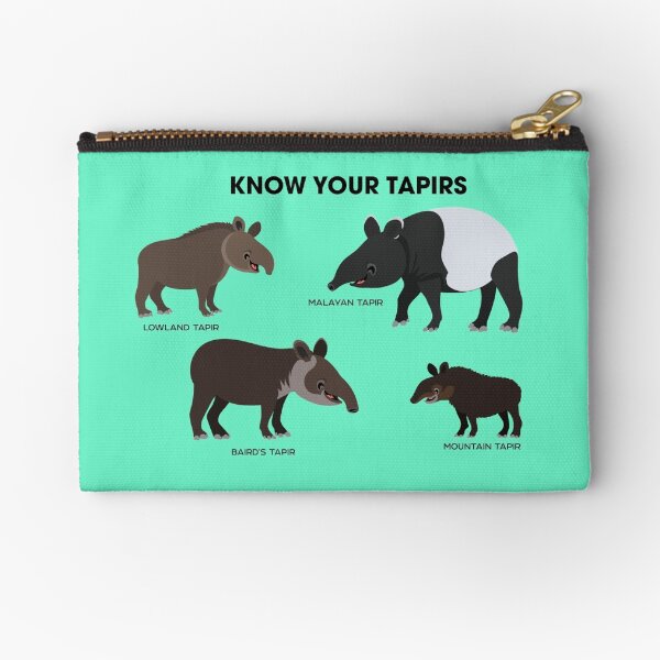 Connaissez vos tapirs Pochette